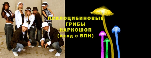 трава Абаза